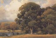 Large Oak unknow artist